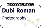 Dubi Roman Wedding Photographers Niagara Links 2