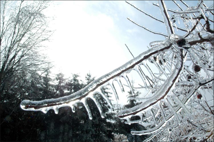 Winter in Niagara